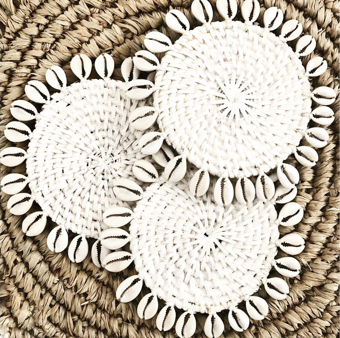 The Seagrass Shell Coaster, White